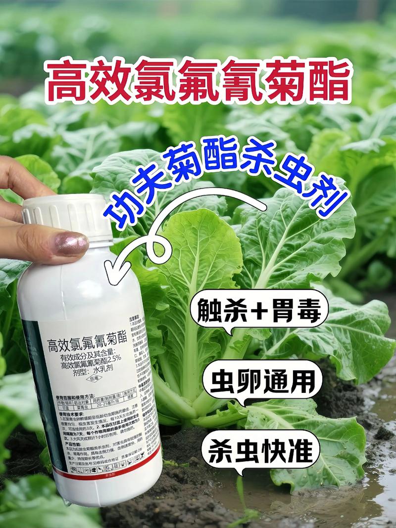 盐城代生中心:农药对供卵代生妈妈的危害